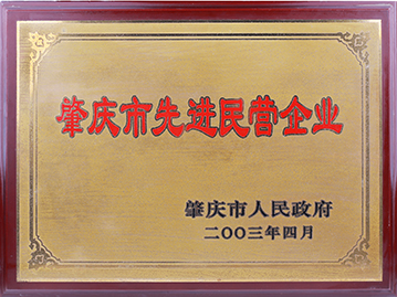 肇慶市先進民營企業